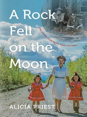 cover image of A Rock Fell on the Moon